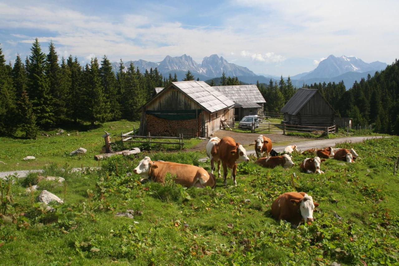 Ferienhaus Alte Mühle Hohentauern Exterior foto